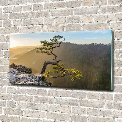 Wall art acrylic Sokolica Pieniny