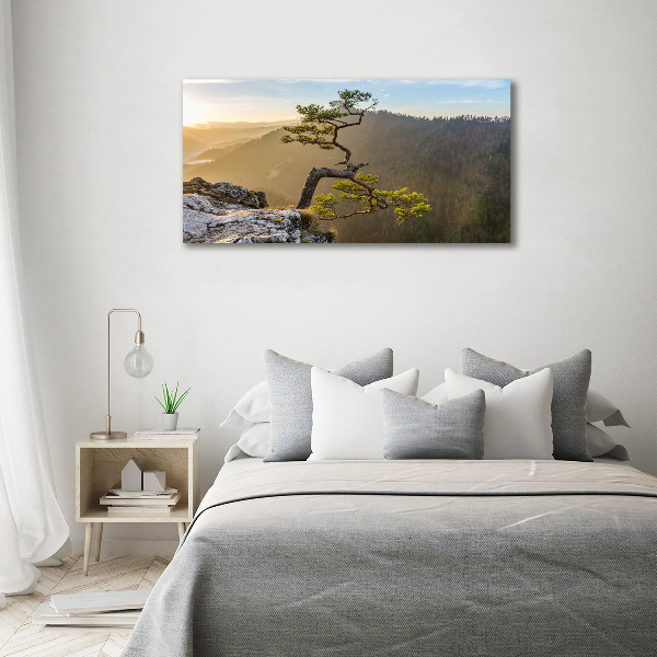 Wall art acrylic Sokolica Pieniny