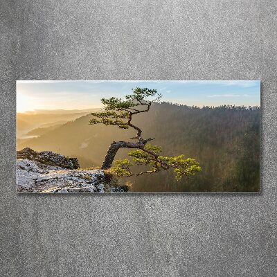 Wall art acrylic Sokolica Pieniny