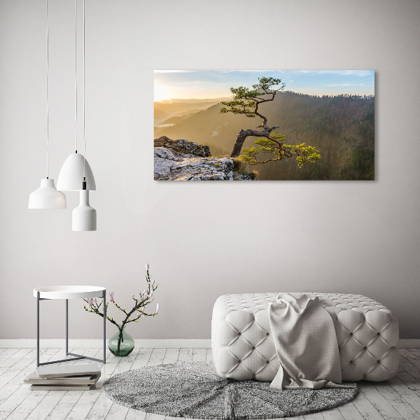 Wall art acrylic Sokolica Pieniny