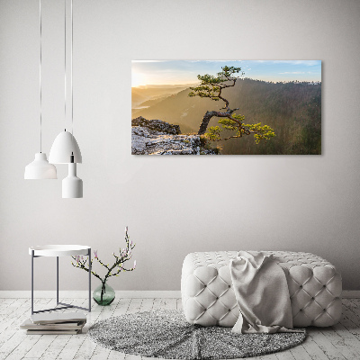 Wall art acrylic Sokolica Pieniny