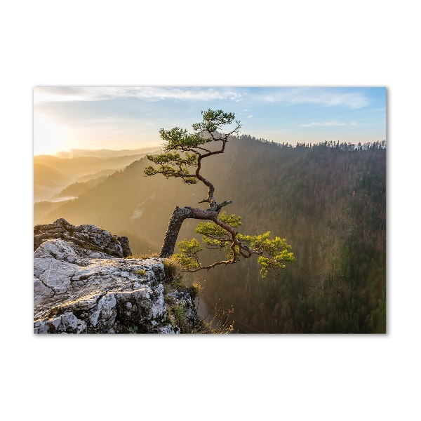 Wall art acrylic Sokolica Pieniny