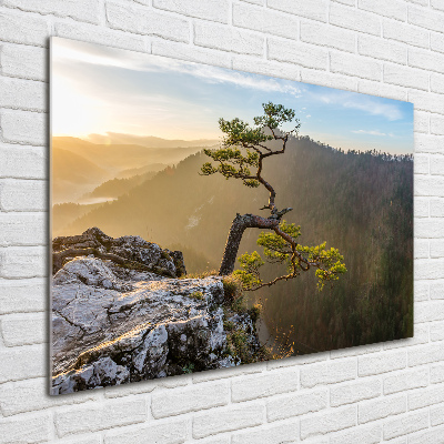 Wall art acrylic Sokolica Pieniny