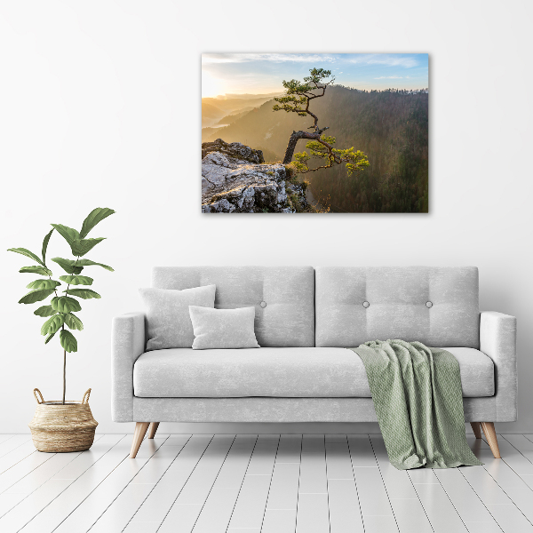 Wall art acrylic Sokolica Pieniny