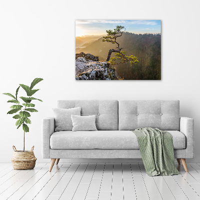 Wall art acrylic Sokolica Pieniny