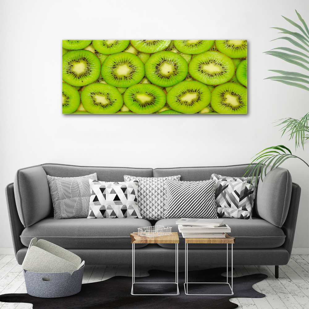 Acrylic wall art Kiwi