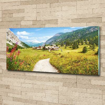 Wall art acrylic Pasture in the Alps