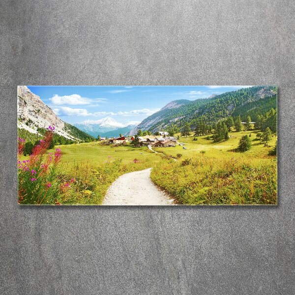 Wall art acrylic Pasture in the Alps