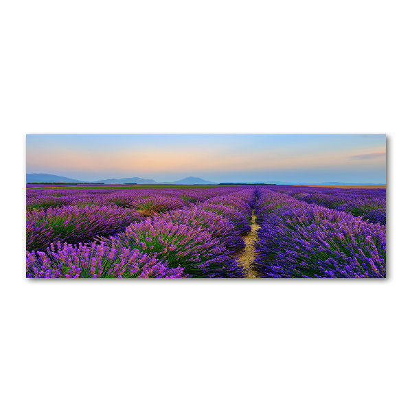 Wall art acrylic Lavender field