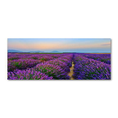 Wall art acrylic Lavender field