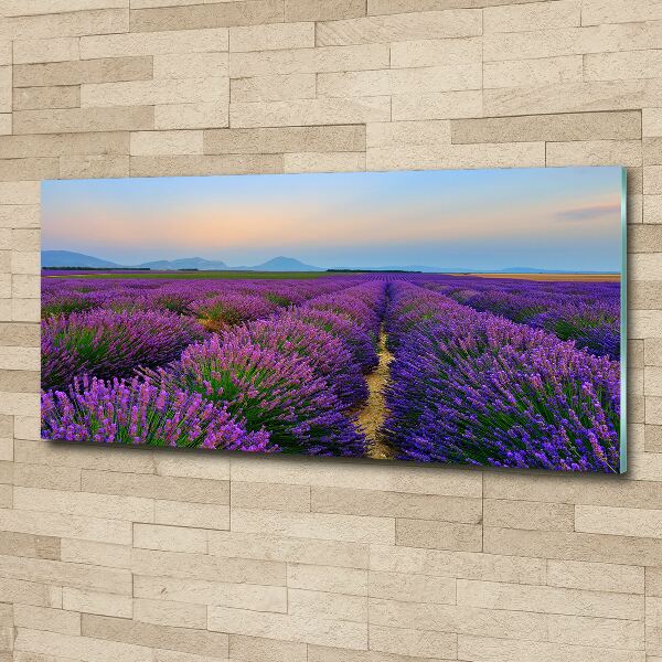 Wall art acrylic Lavender field