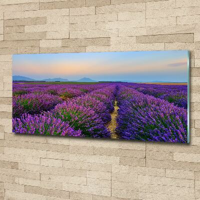 Wall art acrylic Lavender field