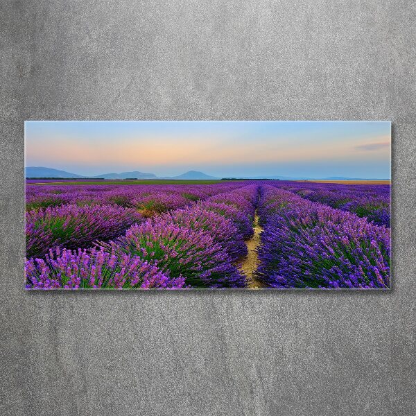 Wall art acrylic Lavender field