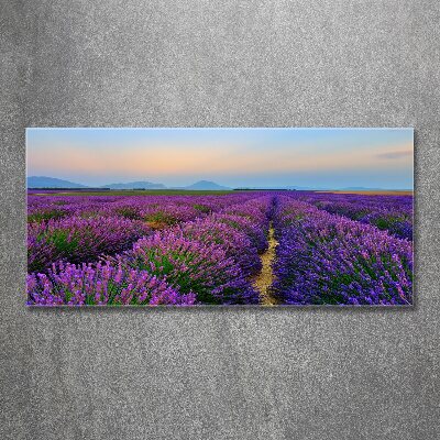 Wall art acrylic Lavender field