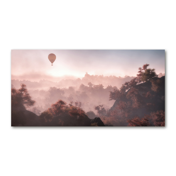 Acrylic wall art Balloon above the forest