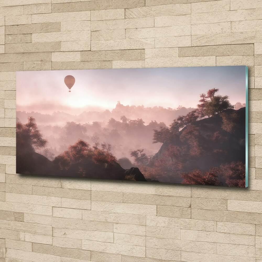 Acrylic wall art Balloon above the forest