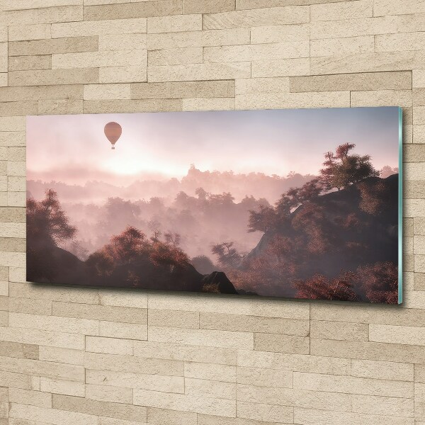 Acrylic wall art Balloon above the forest