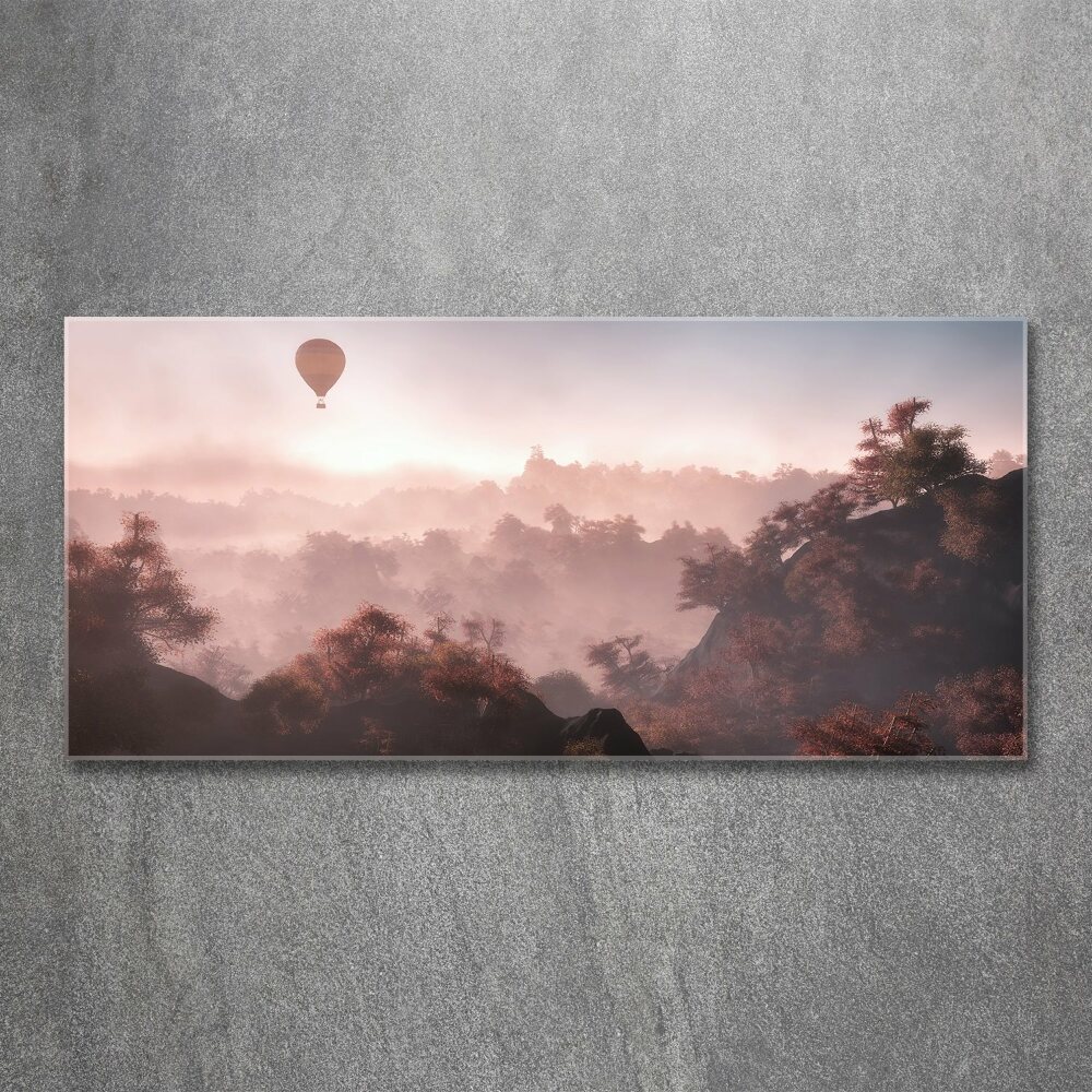 Acrylic wall art Balloon above the forest