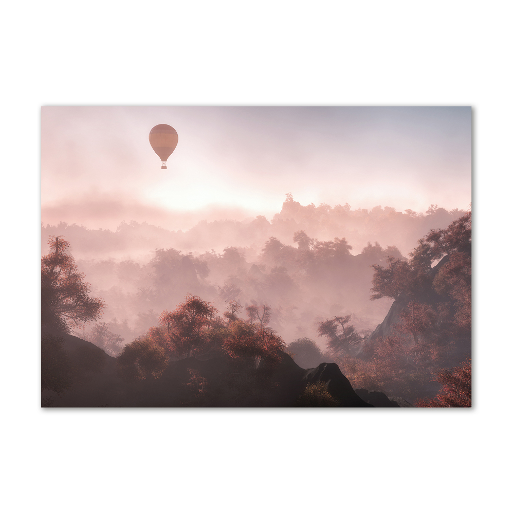 Acrylic wall art Balloon above the forest