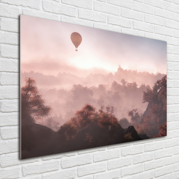 Acrylic wall art Balloon above the forest