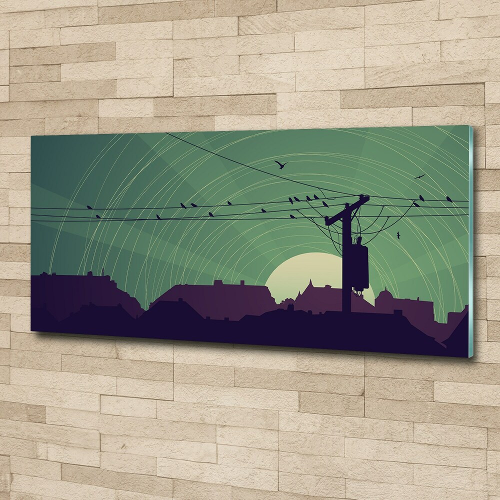 Glass acrylic wall art Birds city