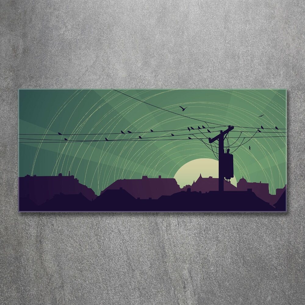 Glass acrylic wall art Birds city