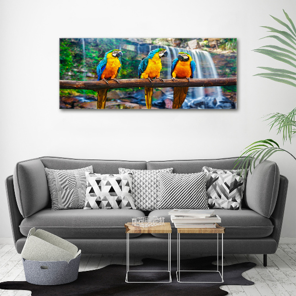 Print on acrylic Parrots on a branch