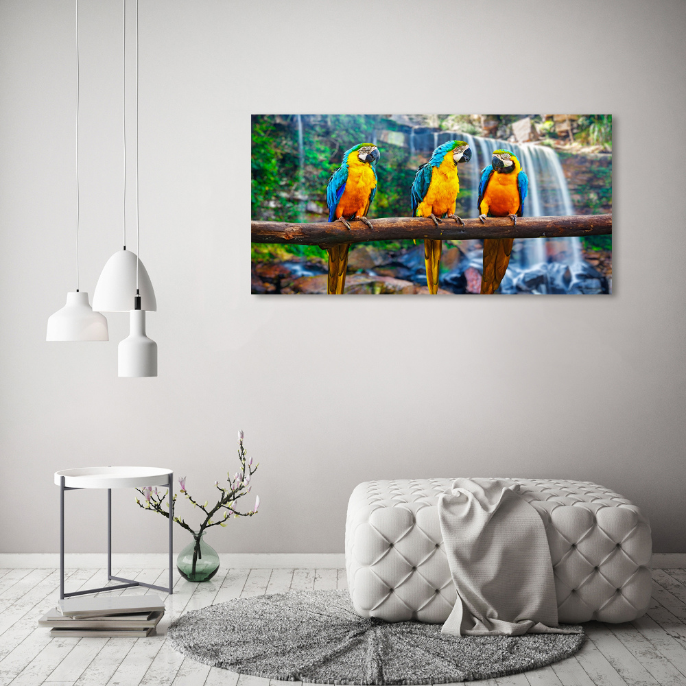 Print on acrylic Parrots on a branch