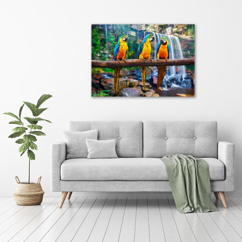 Print on acrylic Parrots on a branch