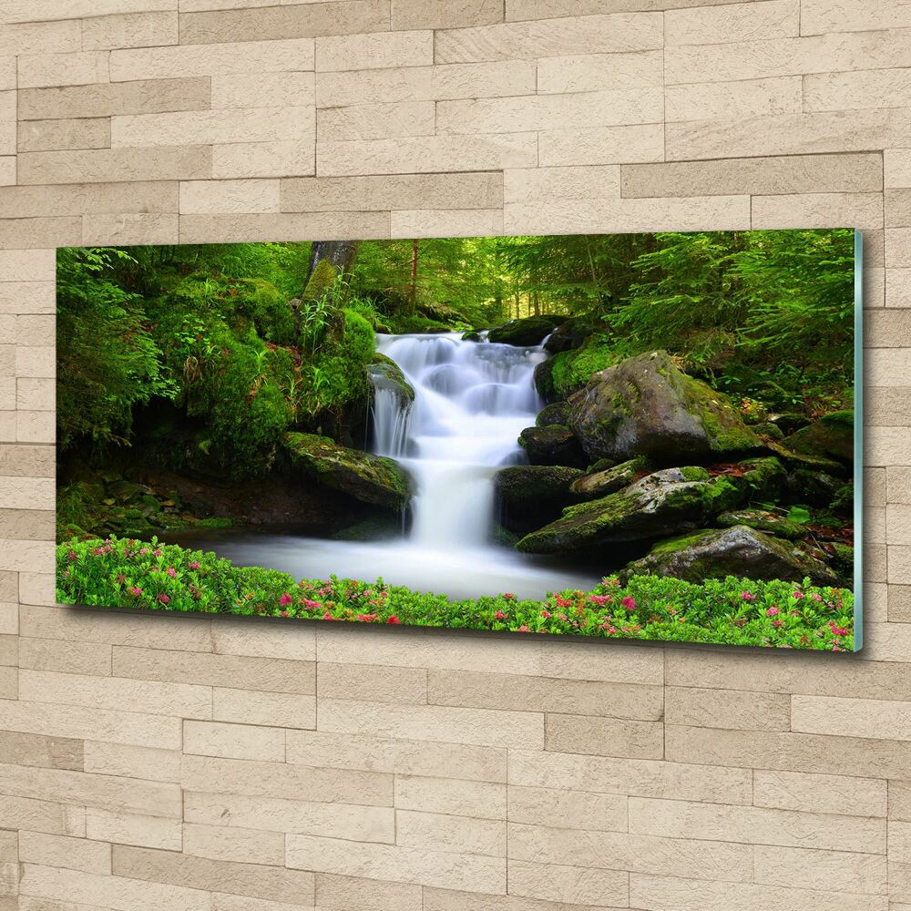 Wall art acrylic Waterfall in the forest