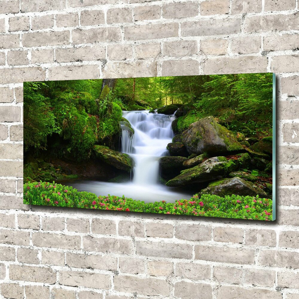 Wall art acrylic Waterfall in the forest