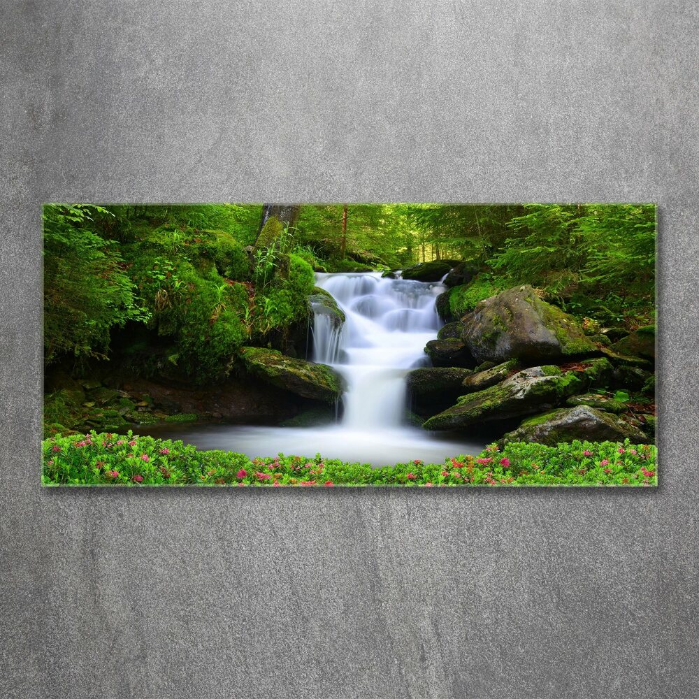 Wall art acrylic Waterfall in the forest