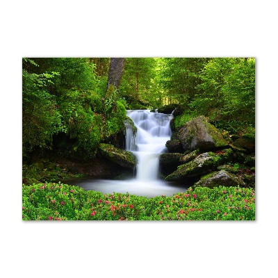 Wall art acrylic Waterfall in the forest