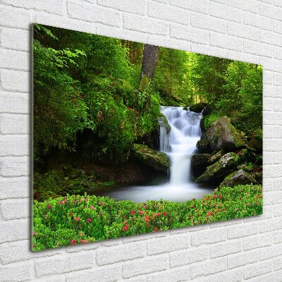 Wall art acrylic Waterfall in the forest