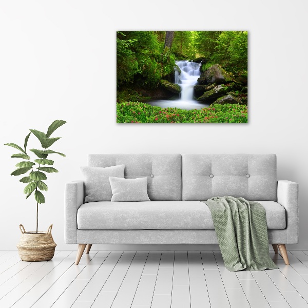 Wall art acrylic Waterfall in the forest