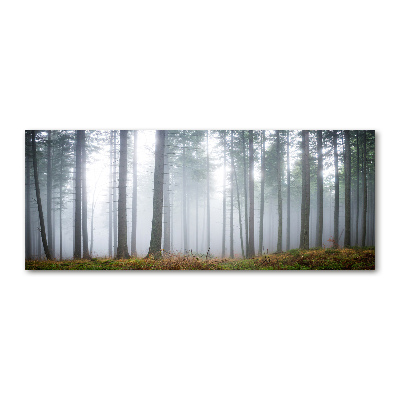 Acrylic wall art Fog in the forest