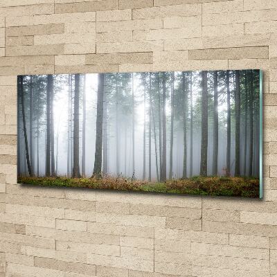 Acrylic wall art Fog in the forest