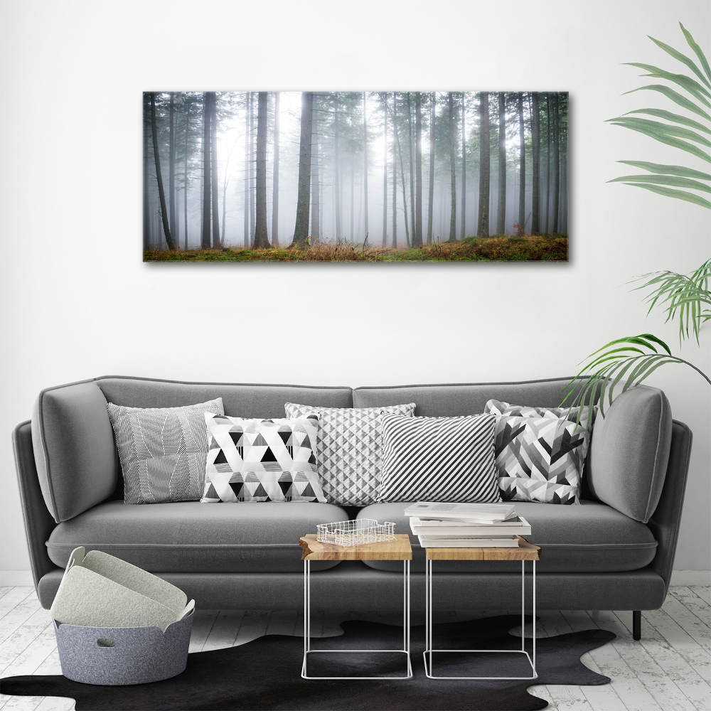 Acrylic wall art Fog in the forest