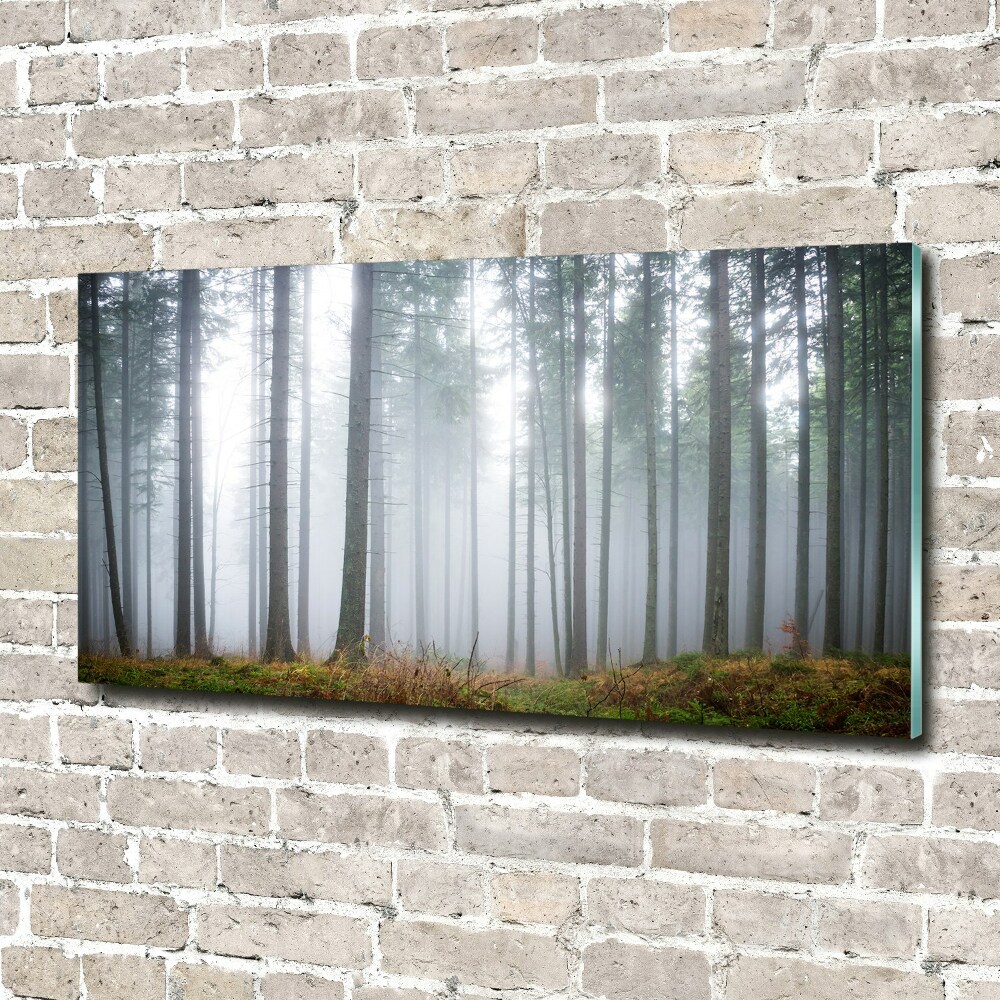 Acrylic wall art Fog in the forest