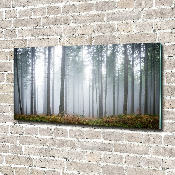 Acrylic wall art Fog in the forest