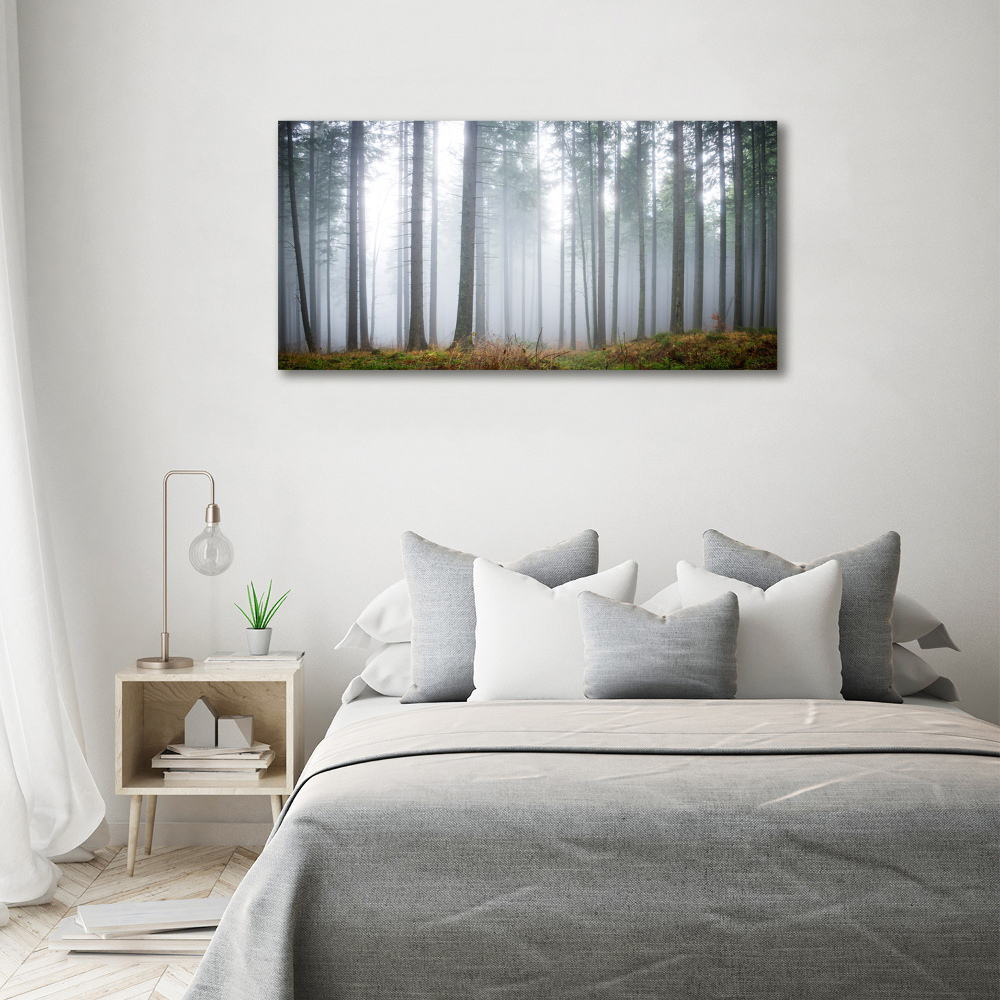 Acrylic wall art Fog in the forest