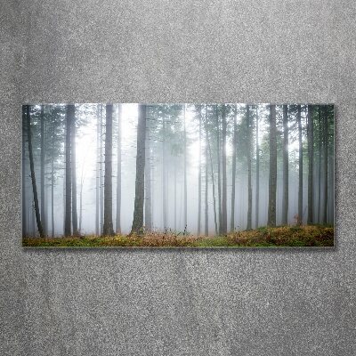 Acrylic wall art Fog in the forest