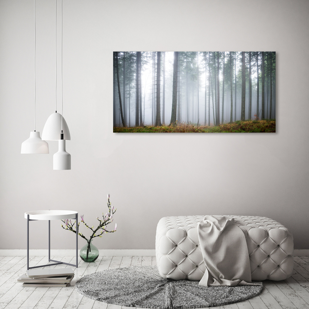 Acrylic wall art Fog in the forest