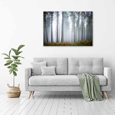 Acrylic wall art Fog in the forest