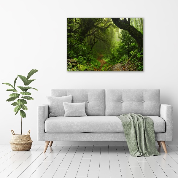 Print on acrylic Jungle in Nepal