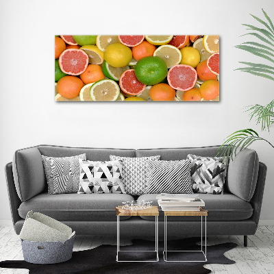 Wall art acrylic Citrus fruits