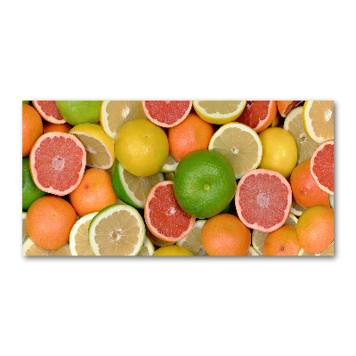 Wall art acrylic Citrus fruits