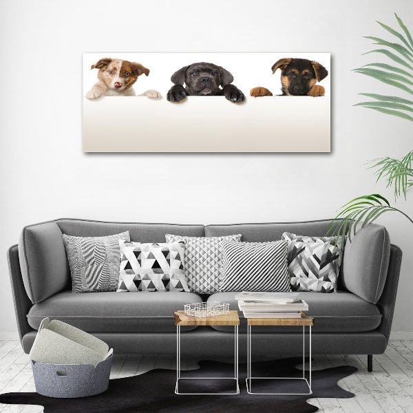 Acrylic wall art Three puppies