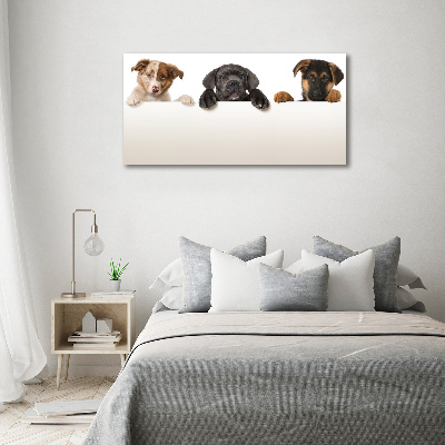 Acrylic wall art Three puppies