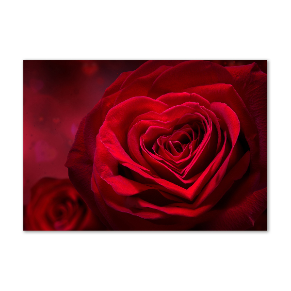 Print on acrylic Red heart rose